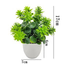 Planta Artificial Decorativa