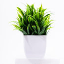 Planta Artificial Decorativa