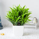 Planta Artificial Decorativa